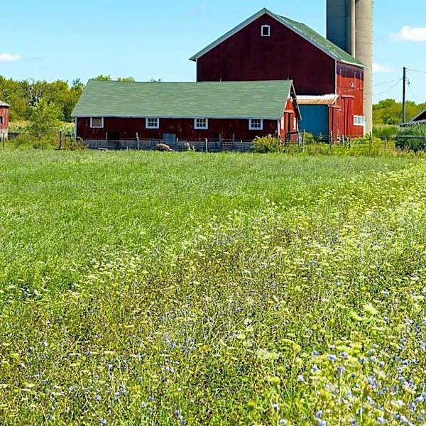 Perdue Farms Celebrates Community with Annual Appreciation Event
