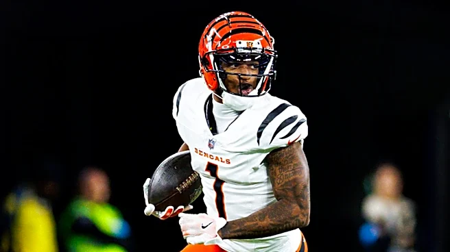 Cincinnati Bengals Defense Shines in Early Training Camp Sessions