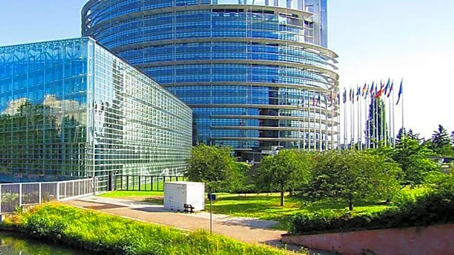 INmune Bio Advances Ebstracel for RDEB with UK Regulatory Alignment
