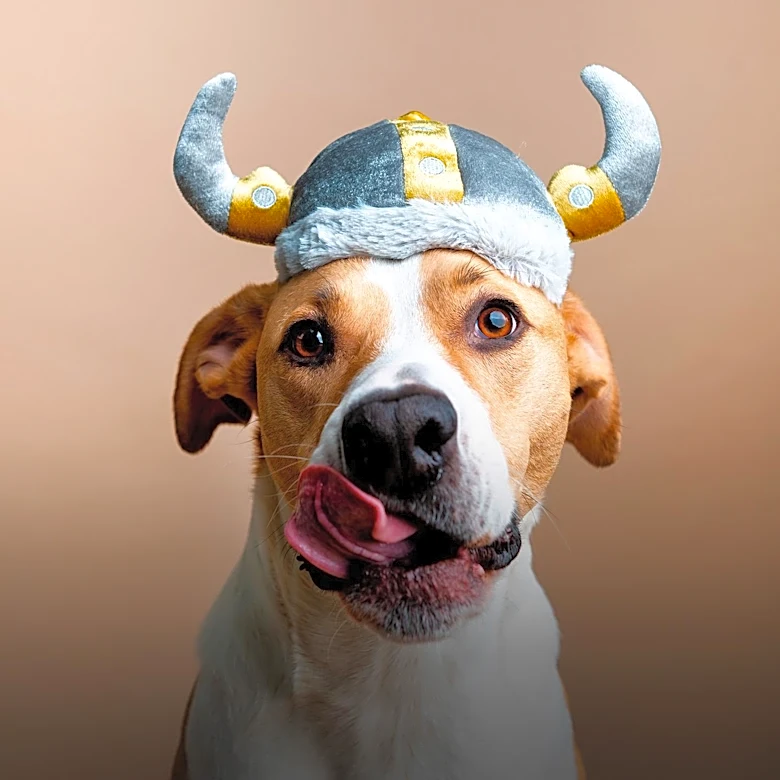 Datadog Faces Stock Decline Amidst Strong Revenue Growth and Conservative Guidance