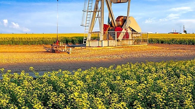 Brazil's Oil Production Faces Future Decline, Bumerangue Project Offers Temporary Relief