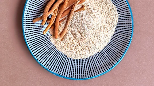Ashwagandha Supplements: Comparing Powder and Extract Formats for Daily Use