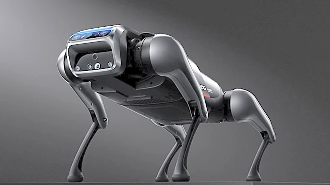 Unitree Robotics Seeks $9 Billion Valuation in Landmark IPO