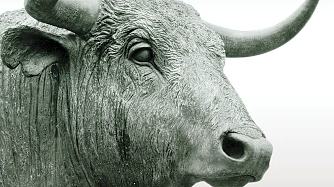 S 500 Index Experiences Rare 5% Surge, Raising Market Caution