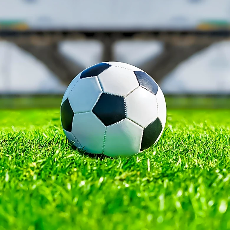 Valentijn Driessen Criticizes KNVB's Handling of Dutch National Team Coach Selection