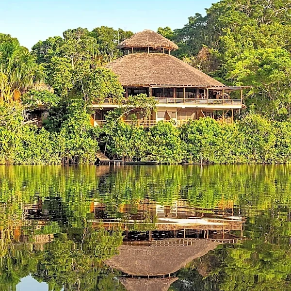 Villa Skyfall: James Bond-Inspired Estate Features Amazon Rainforest Theme