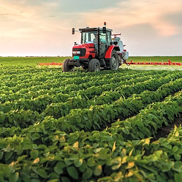 Purdue Survey Reveals Divergent Sentiments Among Crop and Livestock Producers