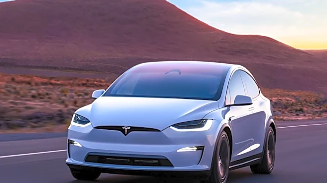 Tesla's Share Price Dip Seen as Buying Opportunity Amid Robotaxi Delays