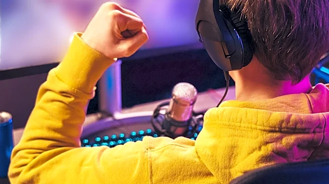Take-Two CEO Predicts Streaming Future for Gaming Industry