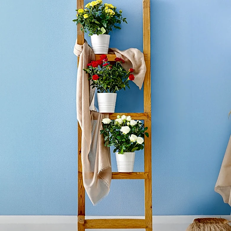 Over 1 Million Ladders Recalled Due to Safety Concerns