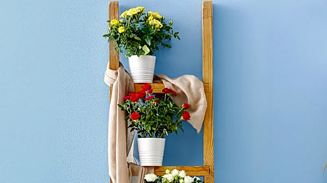 Over 1 Million Ladders Recalled Due to Safety Concerns