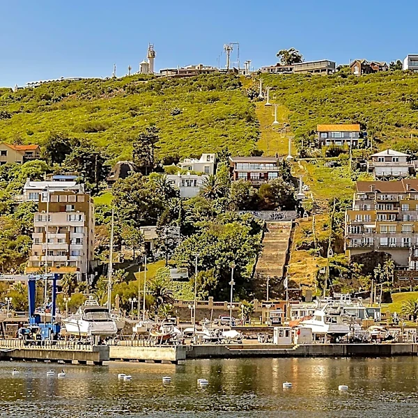 Tiburon's Summer Events Reshape Local Dynamics as August Approaches
