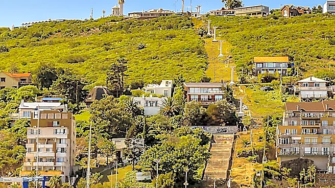 Tiburon's Summer Events Reshape Local Dynamics as August Approaches
