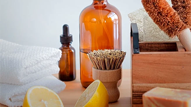 Eco-Friendly Cleaning Products Gain Popularity Among Bentonville Homeowners