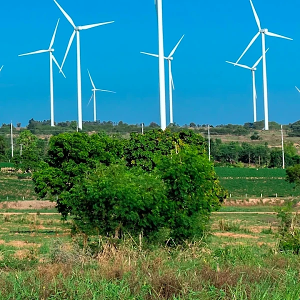 U.S. Judge Orders Pentagon to Lift Freeze on Wind Projects, Boosting Suzlon Energy Shares
