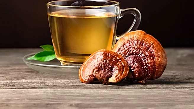 Lion's Mane  Reishi: Enhancing Sleep and Relaxation