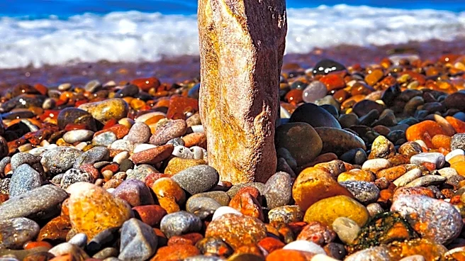 Florida Hormone Balance Specialists Offer Comprehensive Care