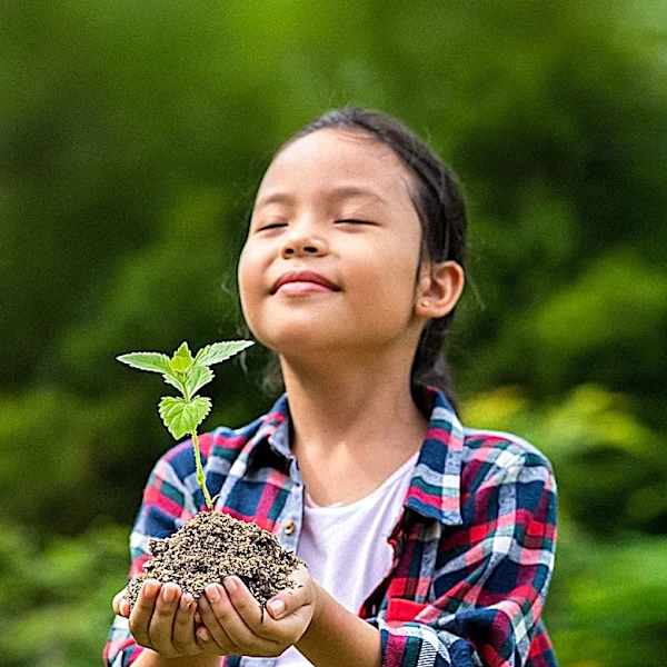 Nature Connection Organizations Promote Wellness and Environmental Education
