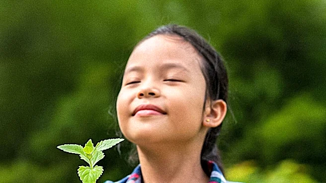 Nature Connection Organizations Promote Wellness and Environmental Education