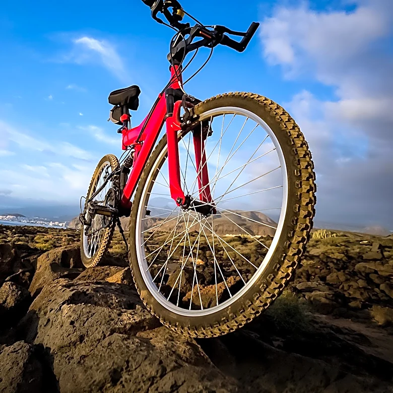 Top Mountain Bike Tires of 2026: Expert Reviews and Recommendations