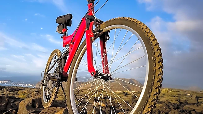Top Mountain Bike Tires of 2026: Expert Reviews and Recommendations
