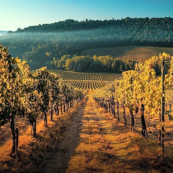 Brandywine Valley Offers Refined Fall Wine Getaways for Washington, DC Travelers
