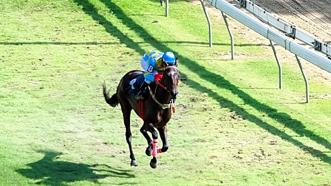 Vernon Beachy Sets New Track Record at Ohio Sire Stakes