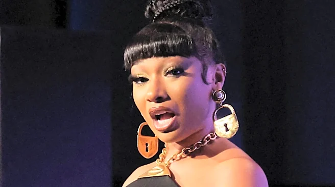 Megan Thee Stallion's Rise in the Music Industry: From Viral Sensation to Award-Winning Artist