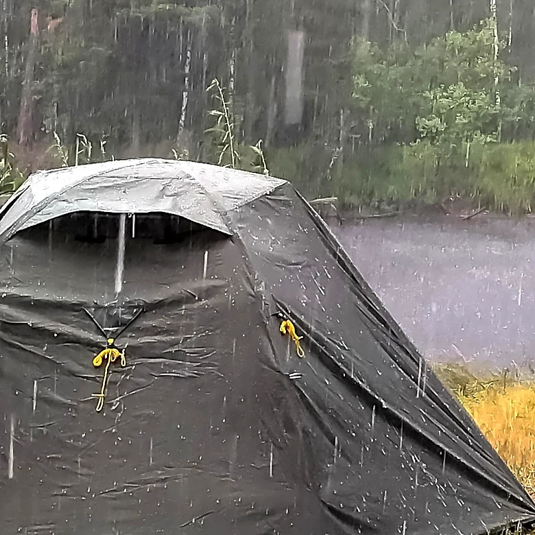 Norwegian Couple's Camping Nightmare: Infestation and Poor Conditions