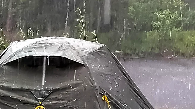 Norwegian Couple's Camping Nightmare: Infestation and Poor Conditions