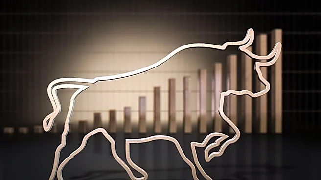 Nu Holdings' Rapid Growth Raises Questions About Its Valuation