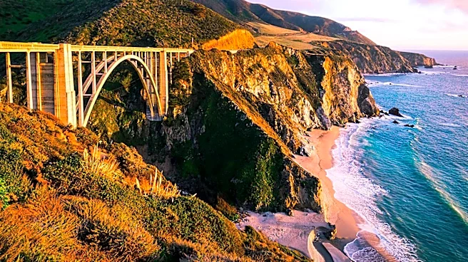 Travel Tips for Kiwis Visiting California: Navigating Costs and Border Delays