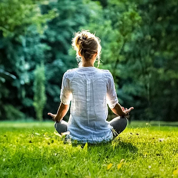 ChatGPT Recommends Seven Simple Stress-Reduction Techniques for Improved Well-being