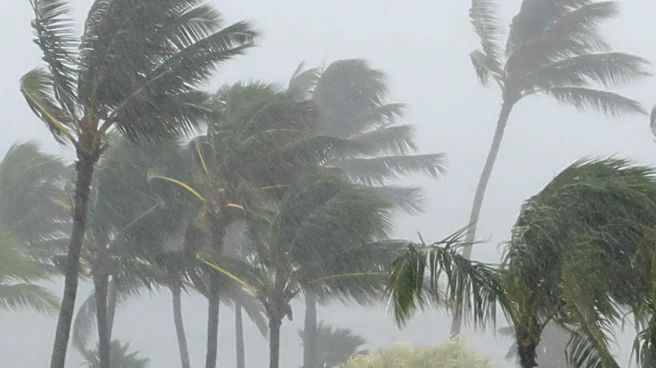 Palm Beach Waterfront Ownership: Importance of Storm Preparation Over Finishes