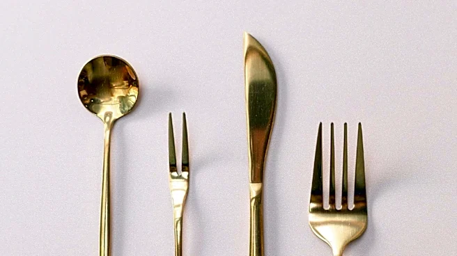 Interior Designer Taniya Nayak Recommends T.J. Maxx for Affordable Designer Cutlery