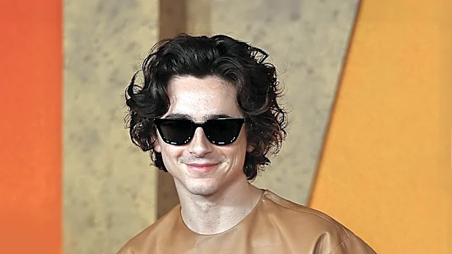 Warner Bros. Denies Indefinite Delay of 'Wonka 2' Amid Timothée Chalamet's Busy Schedule