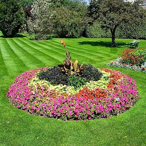 Griffin Gardens in Detroit Fosters Community Through Flowers and Events