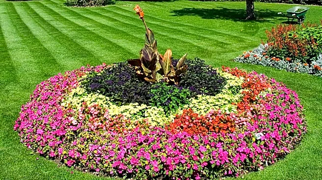 Griffin Gardens in Detroit Fosters Community Through Flowers and Events