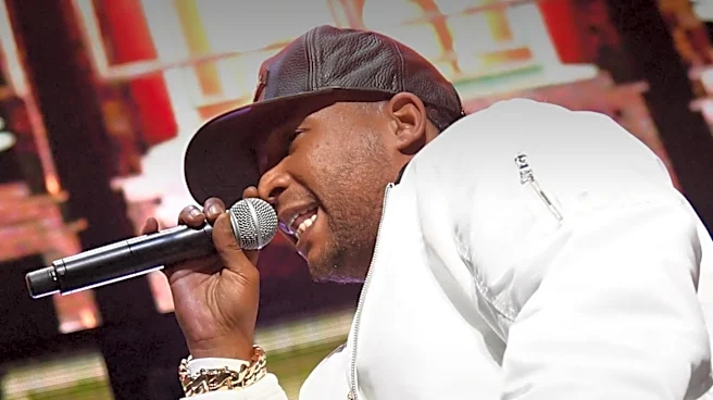 Ja Rule Concert Canceled at White Sox Game Due to Travel Issues