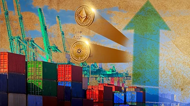 Cardano's ADA Shows Bullish Signal Amid Whale Activity and Development Era Transition