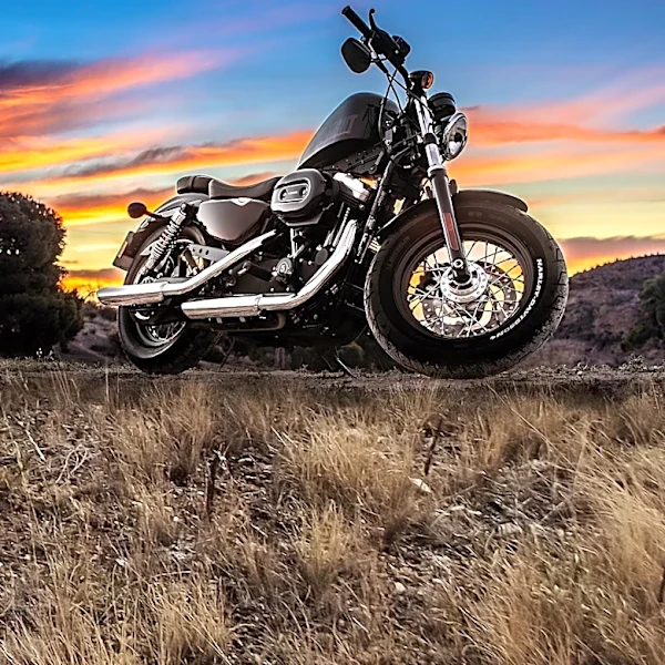 Harley-Davidson Memorabilia and Tools Featured in Online Estate Auction