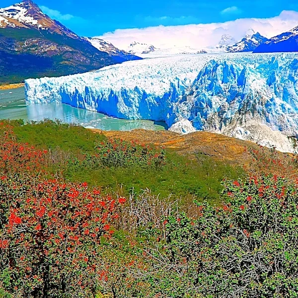 Cerro Perito Moreno Hosts International Ski Competition, Revitalizing Patagonia's Global Presence