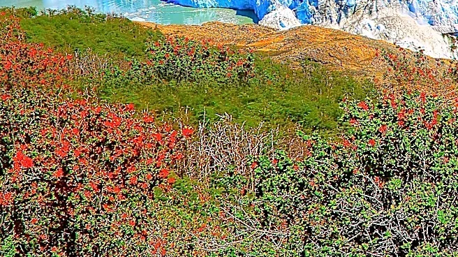 Cerro Perito Moreno Hosts International Ski Competition, Revitalizing Patagonia's Global Presence