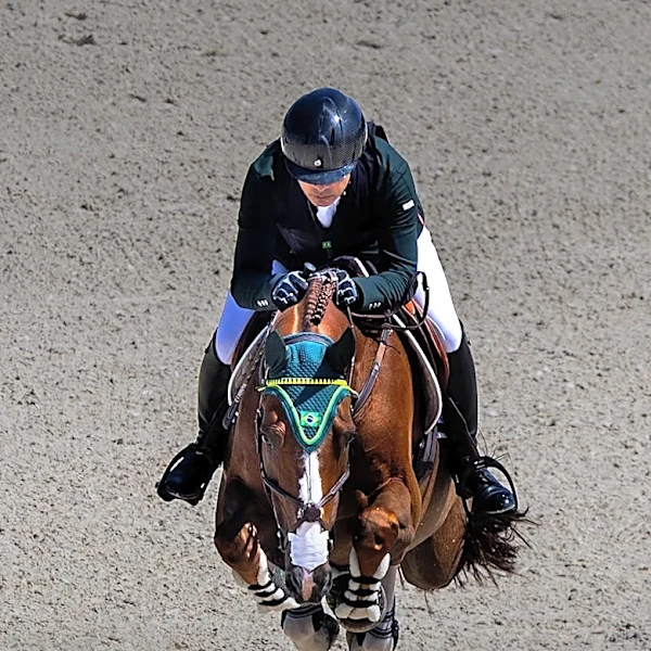 Ireland's Aga Khan Trophy Hopes Dashed as USA Triumphs in Dublin