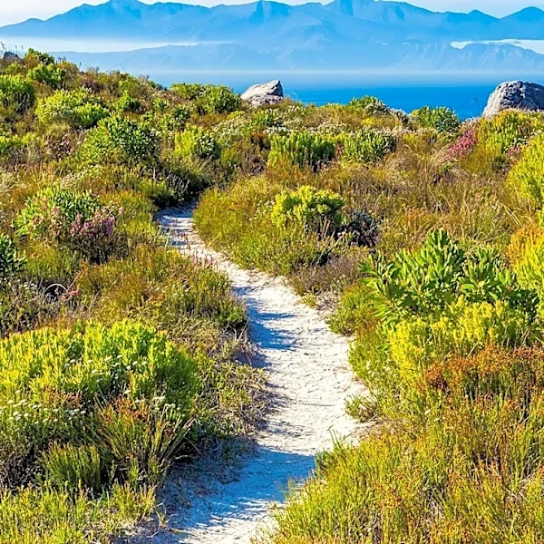 Coastal Maine Offers Alternative Hiking Trails Outside Acadia National Park