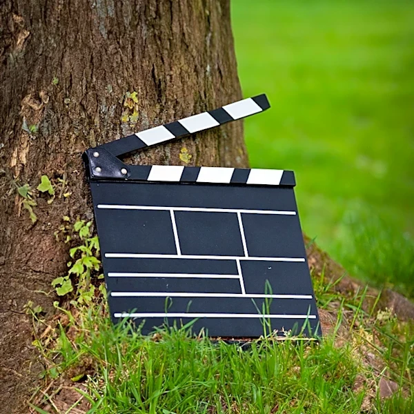 Filming of 'Grown Ups 3' Commences in New Jersey, Featuring Steve Buscemi