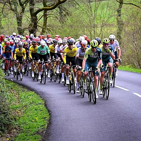 Demi Vollering Defends Teammate Amidst Tour de France Femmes Controversy