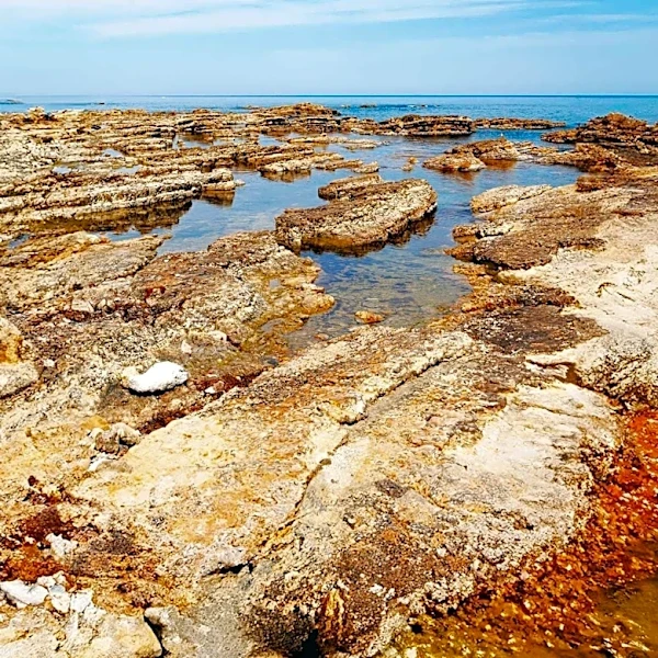 Laguna Beach's Tide Pools Highlighted in Southern California's Prettiest Towns