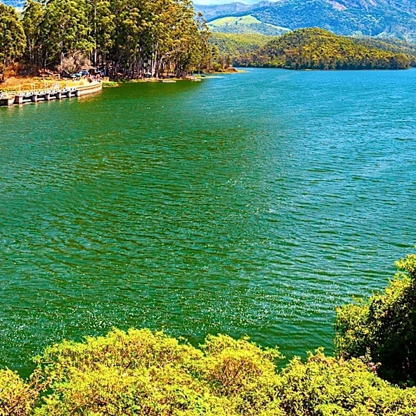 Bon Tempe Lake Offers Fishing and Recreation Opportunities in Marin County