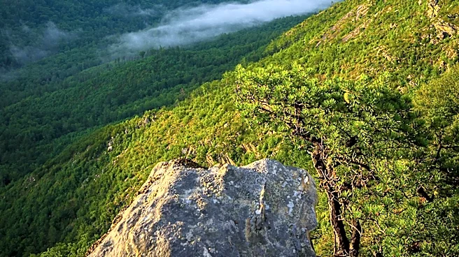 Alvah Dunning: The Complex Legacy of the Adirondack Hermit